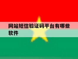 网站短信验证码平台有哪些软件
