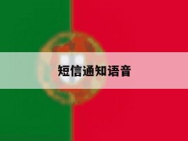 短信通知语音