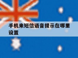 手机来短信语音提示在哪里设置