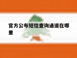 官方公布短信查询通道在哪里