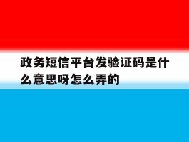 政务短信平台发验证码是什么意思呀怎么弄的