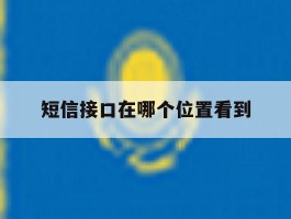 短信接口在哪个位置看到
