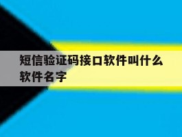 短信验证码接口软件叫什么软件名字