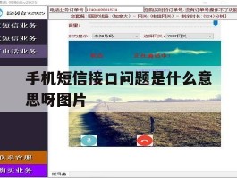 手机短信接口问题是什么意思呀图片