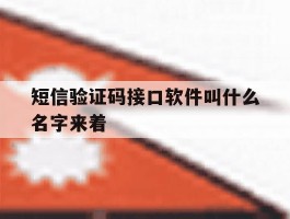 短信验证码接口软件叫什么名字来着